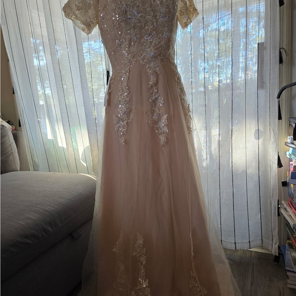 Elegant Lace Appliqué Maxi Dress in Blush*